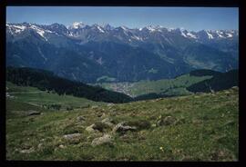 Landschaft im Sommer