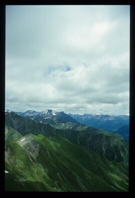 Landschaft im Sommer