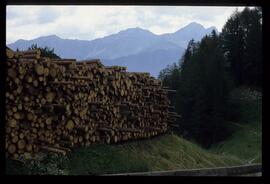 Holzstapel