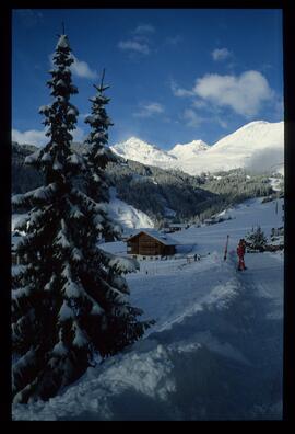 Landschaft im Winter