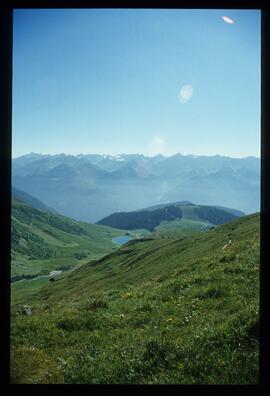 Landschaft im Sommer