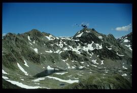 Landschaft im Sommer