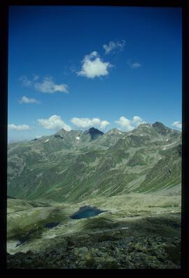 Landschaft im Sommer