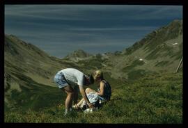 Gäste im Gebirge