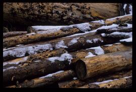 Holzstapel