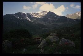 Landschaft im Sommer