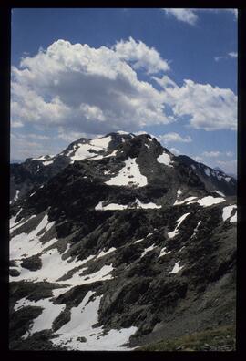 Landschaft im Sommer