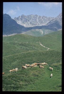 Landschaftsaufnahme