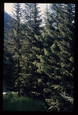 Landschaftsaufnahme