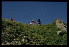 Gäste im Gebirge