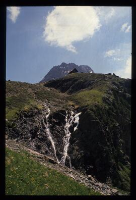 Landschaft im Sommer