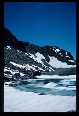 Landschaft im Sommer