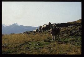 Landschaftsaufnahme