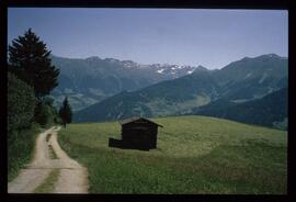 Landschaft im Sommer