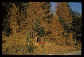 Landschaft im Sommer
