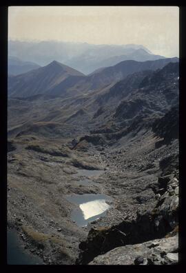 Landschaft im Sommer