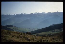 Landschaft im Sommer