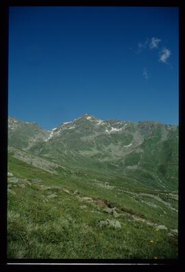 Landschaft im Sommer