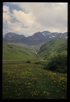 Landschaft im Sommer