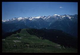 Landschaft im Sommer