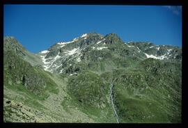 Landschaft im Sommer