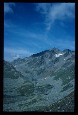 Landschaft im Sommer