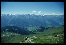 Landschaft im Sommer