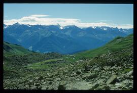 Landschaft im Sommer