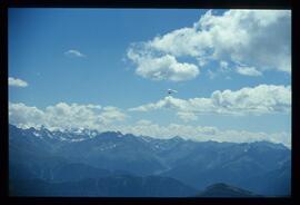 Landschaft im Sommer