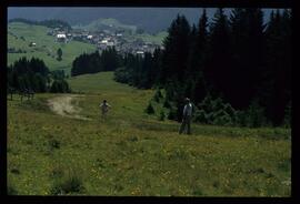 Gäste im Gebirge