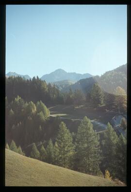 Sommer