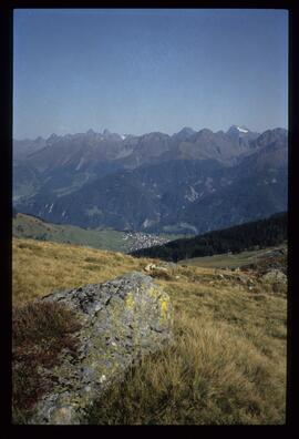 Landschaft im Sommer