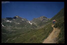 Landschaft im Sommer