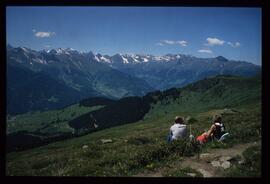 Landschaft im Sommer