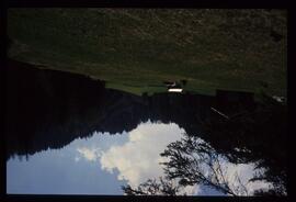 Landschaft im Sommer