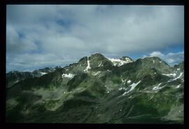 Landschaft im Sommer