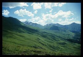 Landschaft im Sommer