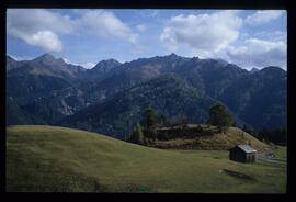 Landschaft im Sommer