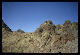 Landschaft im Sommer