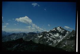 Landschaft im Sommer