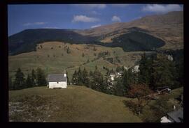 Landschaft im Sommer