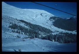 Landschaft im Winter