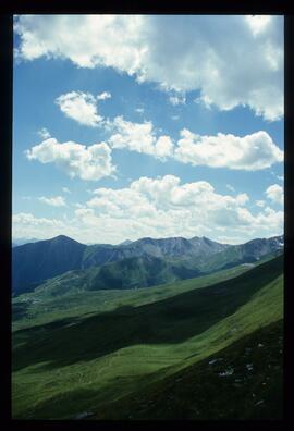 Landschaft im Sommer