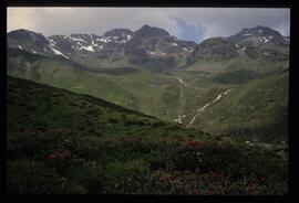 Landschaft im Sommer