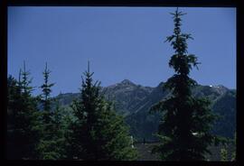 Oetztaler Alpen