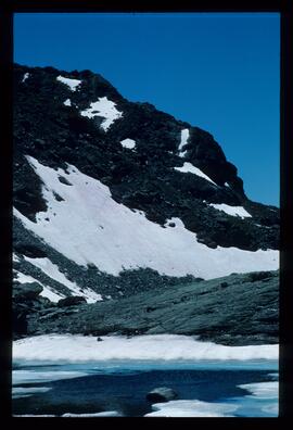 Landschaft im Sommer