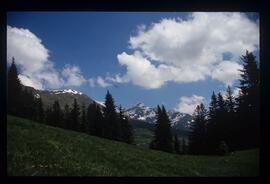 Landschaft, Wandern