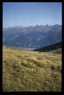 Landschaft im Sommer