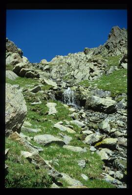 Landschaft im Sommer