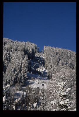 Landschaft im Winter